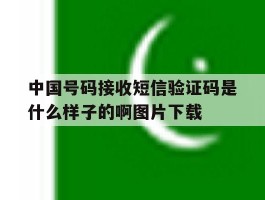 关于中国号码接收短信验证码是什么样子的啊图片下载的信息