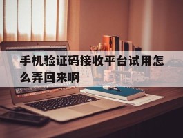 手机验证码接收平台试用怎么弄回来啊的简单介绍