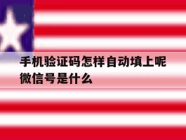 手机验证码怎样自动填上呢微信号是什么
