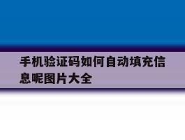 手机验证码如何自动填充信息呢图片大全