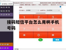 接码短信平台怎么用啊手机号码