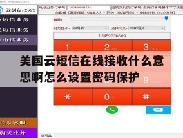 美国云短信在线接收什么意思啊怎么设置密码保护的简单介绍