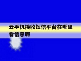 云手机接收短信平台在哪里看信息呢