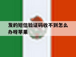 发的短信验证码收不到怎么办呀苹果