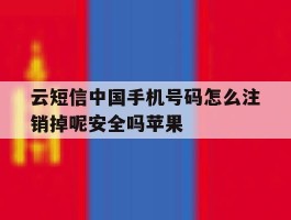 包含云短信中国手机号码怎么注销掉呢安全吗苹果的词条