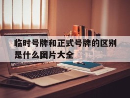 临时号牌和正式号牌的区别是什么图片大全