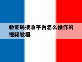 验证码接收平台怎么操作的视频教程