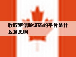 收取短信验证码的平台是什么意思啊