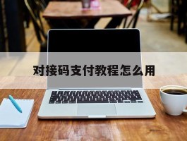 对接码支付教程怎么用