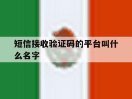 短信接收验证码的平台叫什么名字
