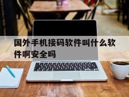 国外手机接码软件叫什么软件啊安全吗