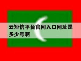关于云短信平台官网入口网址是多少号啊的信息