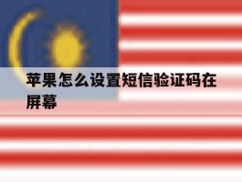 苹果怎么设置短信验证码在屏幕